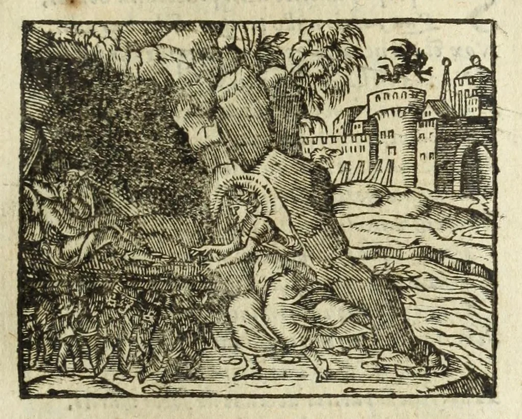 An illustration from Metamorphoses Ovidii : argvmentis quidem soluta oratione, enarrationibus autem & allegoriis elegiaco versu accuratissimè expositae, summaq[ue] diligentia ac studio illustratae, 1583, leaf 305