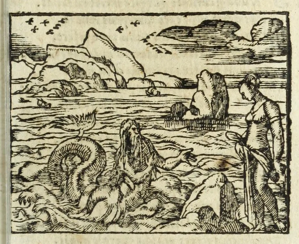 An illustration from Metamorphoses Ovidii : argvmentis quidem soluta oratione, enarrationibus autem & allegoriis elegiaco versu accuratissimè expositae, summaq[ue] diligentia ac studio illustratae, 1583, leaf 345