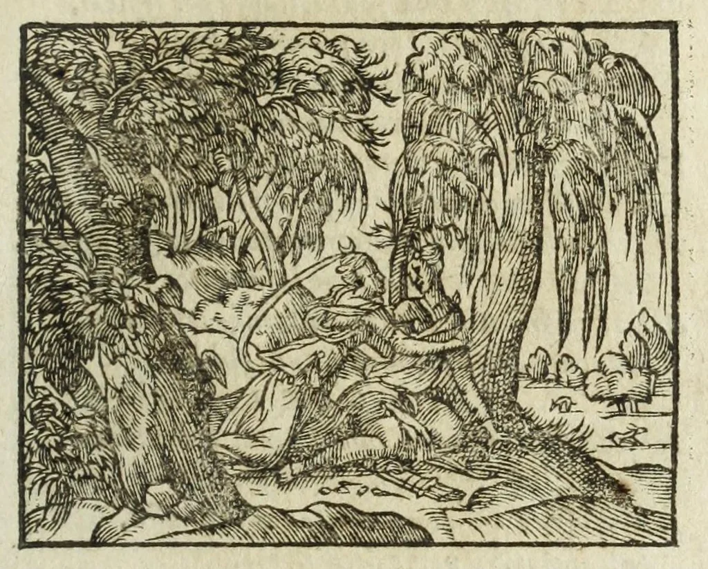 An illustration from Metamorphoses Ovidii : argvmentis quidem soluta oratione, enarrationibus autem & allegoriis elegiaco versu accuratissimè expositae, summaq[ue] diligentia ac studio illustratae, 1583, leaf 69