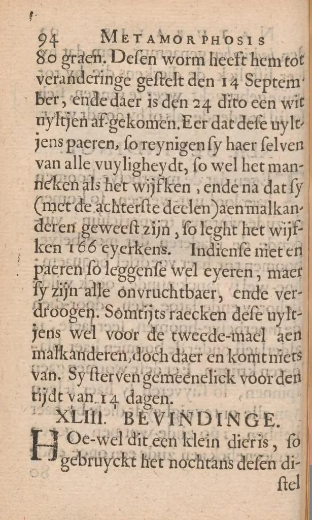 An illustration from Metamorphosis naturalis, ofte historische beschryvinghe van den oirspronck, aerd, eygenschappen ende vreemde veranderinghen der wormen, rupsen, maeden, vliegen, witjens, byen, motten en dierghelijcke dierkens meer; niet uyt eenighe boecken, maer alleenelijck door eygen ervarentheydt uytgevonden, beschreven, ende na de konst afgeteyckent, 1662, leaf 214