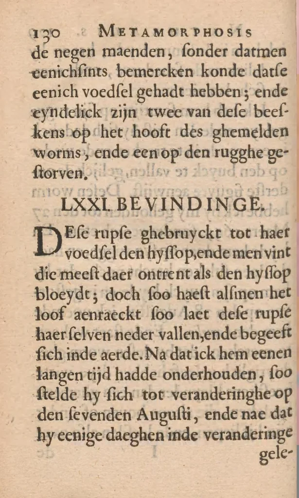 An illustration from Metamorphosis naturalis, ofte historische beschryvinghe van den oirspronck, aerd, eygenschappen ende vreemde veranderinghen der wormen, rupsen, maeden, vliegen, witjens, byen, motten en dierghelijcke dierkens meer; niet uyt eenighe boecken, maer alleenelijck door eygen ervarentheydt uytgevonden, beschreven, ende na de konst afgeteyckent, 1662, leaf 286