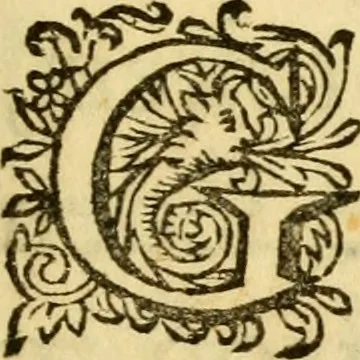 An illustration from Metamorphosis naturalis, ofte Historische beschryvinghe van den oirspronk, aerd, eygenschappen ende vreemde veranderinghen der wormen, rupsen, maeden, vliegen, witjens, byen, motten ende dierghelijcke dierkens meer; niet uyt eenighe boecken, maer alleenelijck door eygen ervarentheyd uytgevonden, beschreven, en na da konst afgeteyckent, 1662, leaf 8