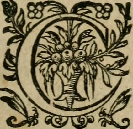 An illustration from Metaneacarpie; ov Des frvicts de la penitence: qui sont, l'oraison, l'aumosne, & le Ieusne. Homelies preschées à Paris ... de l'an 1618 .., 1620, leaf 104