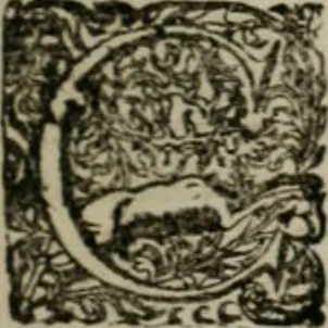 An illustration from Meteorologia philosophico-politica : in duodecim dissertationes per quæstiones meteorologicas et conclusiones politicas divisa, appositisque symbolis illustrata ..., 1709, leaf 10