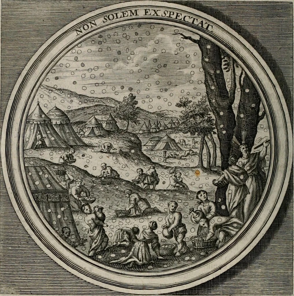 An illustration from Meteorologia philosophico-politica : in duodecim dissertationes per quæstiones meteorologicas et conclusiones politicas divisa, appositisque symbolis illustrata ..., 1709, leaf 169