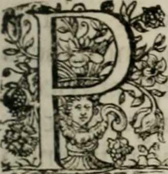 An illustration from Meteorologia philosophico-politica : in duodecim dissertationes per quæstiones meteorologicas et conclusiones politicas divisa, appositisque symbolis illustrata ..., 1709, leaf 8