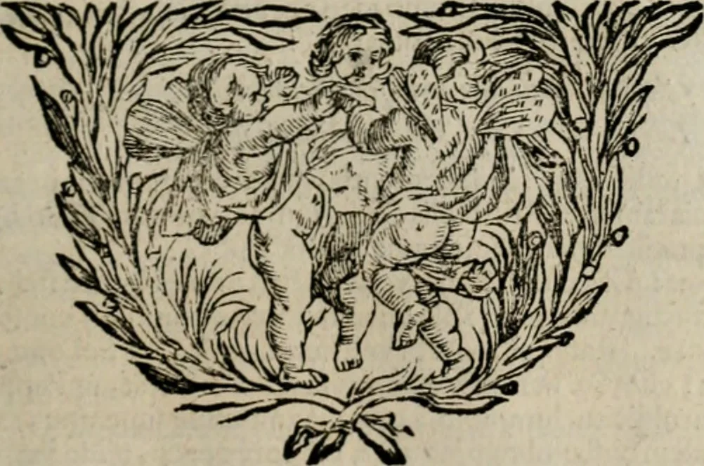 An illustration from Meteorologia philosophico-politica : in duodecim dissertationes per quæstiones meteorologicas et conclusiones politicas divisa, appositisque symbolis illustrata ..., 1709, leaf 84