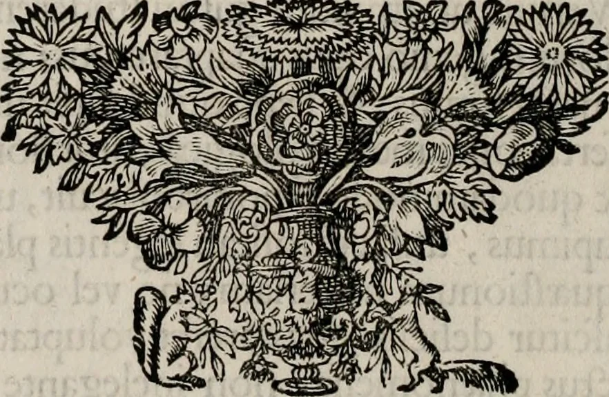 An illustration from Meteorologia philosophico-politica : in duodecim dissertationes per quæstiones meteorologicas et conclusiones politicas divisa, appositisque symbolis illustrata ..., 1709, leaf 9