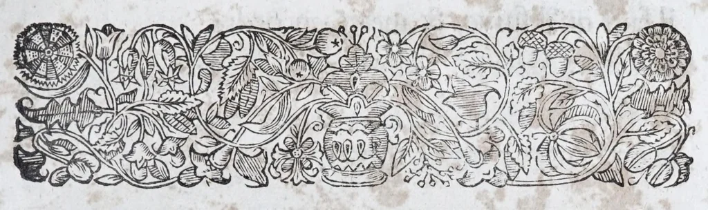 An illustration from Methode nouvelle, et invention extraordinaire de dresser les chevaux, et les travailler selon la nature : qui est perfectionée par la subtilité d'un art, qui n'a jamais esté trouvé, que par le tres-noble, haut, & tres-puissant prince, Guillaume de Cavendysh ... : traduite mot à mot en François, sur l'original anglois, 1671, leaf 177