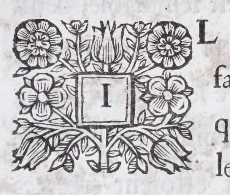 An illustration from Methode nouvelle, et invention extraordinaire de dresser les chevaux, et les travailler selon la nature : qui est perfectionée par la subtilité d'un art, qui n'a jamais esté trouvé, que par le tres-noble, haut, & tres-puissant prince, Guillaume de Cavendysh ... : traduite mot à mot en François, sur l'original anglois, 1671, leaf 177
