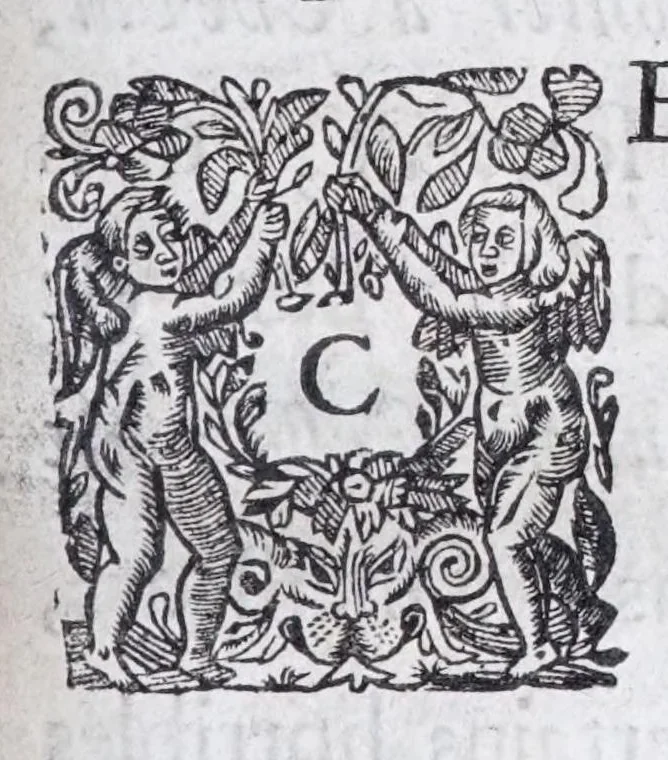 An illustration from Methode nouvelle, et invention extraordinaire de dresser les chevaux, et les travailler selon la nature : qui est perfectionée par la subtilité d'un art, qui n'a jamais esté trouvé, que par le tres-noble, haut, & tres-puissant prince, Guillaume de Cavendysh ... : traduite mot à mot en François, sur l'original anglois, 1671, leaf 21
