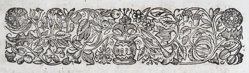 An illustration from Methode nouvelle, et invention extraordinaire de dresser les chevaux, et les travailler selon la nature : qui est perfectionée par la subtilité d'un art, qui n'a jamais esté trouvé, que par le tres-noble, haut, & tres-puissant prince, Guillaume de Cavendysh ... : traduite mot à mot en François, sur l'original anglois, 1671, leaf 309