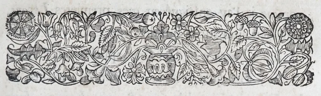 An illustration from Methode nouvelle, et invention extraordinaire de dresser les chevaux, et les travailler selon la nature : qui est perfectionée par la subtilité d'un art, qui n'a jamais esté trouvé, que par le tres-noble, haut, & tres-puissant prince, Guillaume de Cavendysh ... : traduite mot à mot en François, sur l'original anglois, 1671, leaf 339
