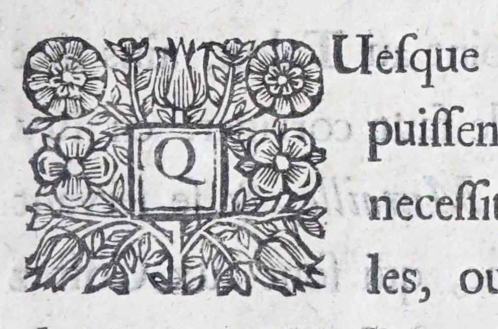 An illustration from Methode nouvelle, et invention extraordinaire de dresser les chevaux, et les travailler selon la nature : qui est perfectionée par la subtilité d'un art, qui n'a jamais esté trouvé, que par le tres-noble, haut, & tres-puissant prince, Guillaume de Cavendysh ... : traduite mot à mot en François, sur l'original anglois, 1671, leaf 339