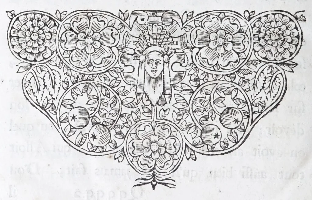 An illustration from Methode nouvelle, et invention extraordinaire de dresser les chevaux, et les travailler selon la nature : qui est perfectionée par la subtilité d'un art, qui n'a jamais esté trouvé, que par le tres-noble, haut, & tres-puissant prince, Guillaume de Cavendysh ... : traduite mot à mot en François, sur l'original anglois, 1671, leaf 448