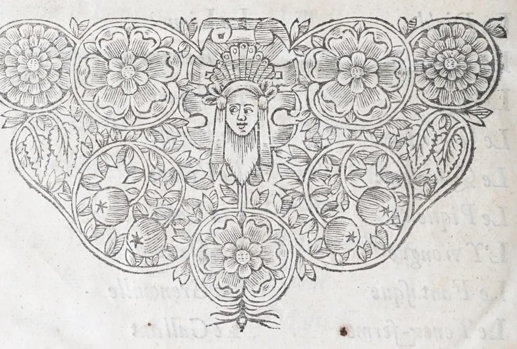 An illustration from Methode nouvelle, et invention extraordinaire de dresser les chevaux, et les travailler selon la nature : qui est perfectionée par la subtilité d'un art, qui n'a jamais esté trouvé, que par le tres-noble, haut, & tres-puissant prince, Guillaume de Cavendysh ... : traduite mot à mot en François, sur l'original anglois, 1671, leaf 452