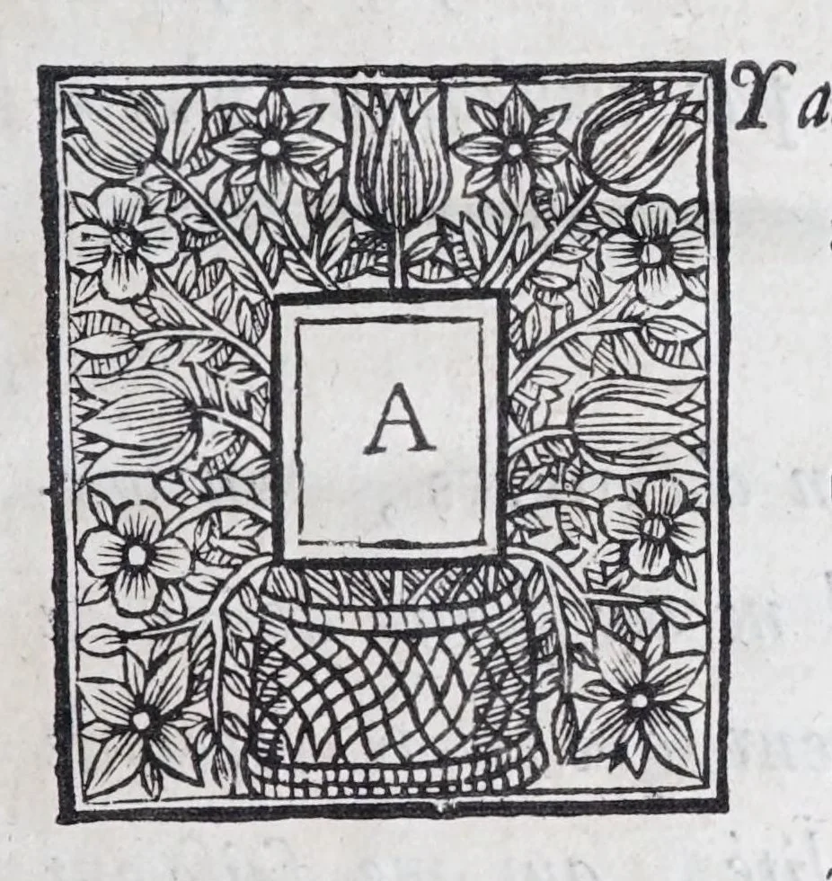 An illustration from Methode nouvelle, et invention extraordinaire de dresser les chevaux, et les travailler selon la nature : qui est perfectionée par la subtilité d'un art, qui n'a jamais esté trouvé, que par le tres-noble, haut, & tres-puissant prince, Guillaume de Cavendysh ... : traduite mot à mot en François, sur l'original anglois, 1671, leaf 9