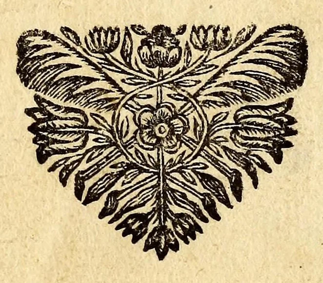 An illustration from Methode pour guerir toute sorte de fievres, : sans rien faire prendre par la bouche., 1694, leaf 5