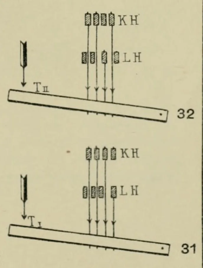 An illustration from Methodik der Bindungslehre, Dekomposition und Kalkulation für Schaftweberei : Bearbeitet für Textilschulen und zum Selbstunterricht, 1908, leaf 25