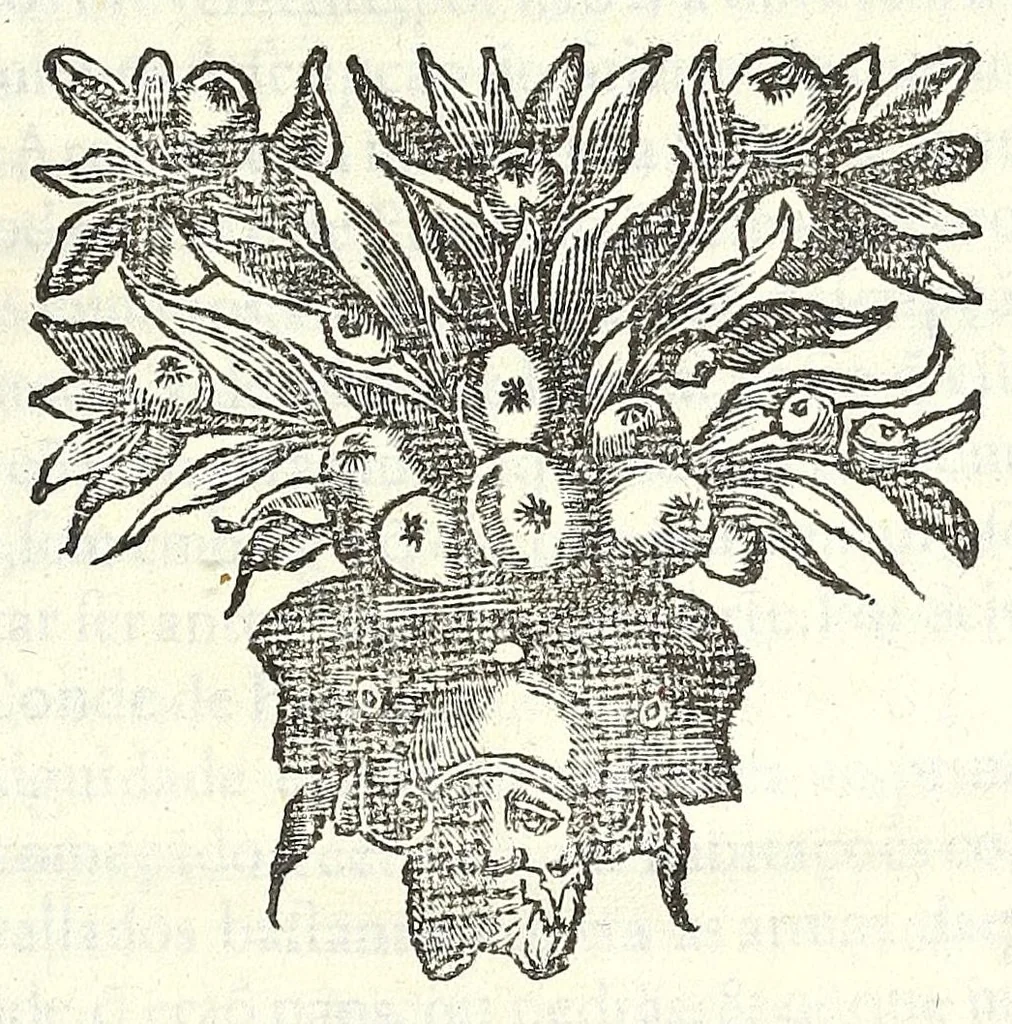 An illustration from Methodo lusitanico de desenhar as fortificaçoens das praças regulares & irregulares : fortes de campanha, e outras obras pertencentes a architectura militar, distribuido em duas partes operativa e qualificativa, 1680, leaf 17