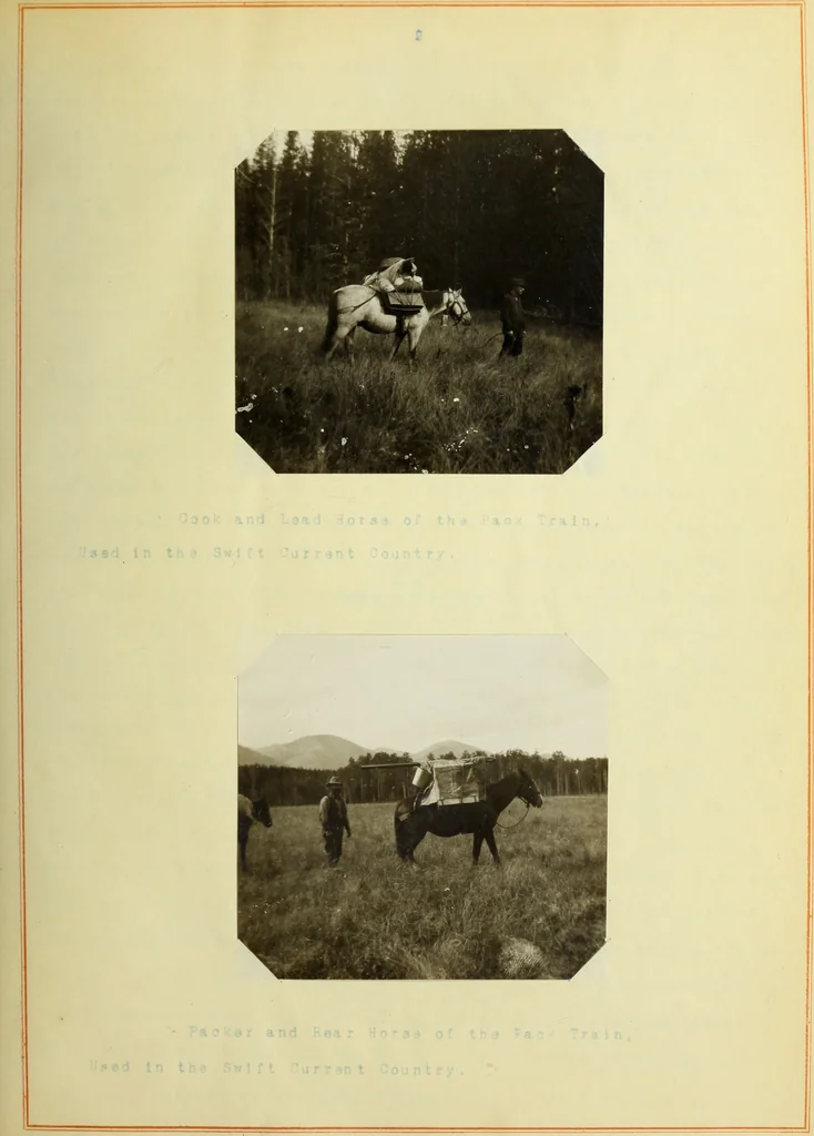 An illustration from The methods used in primary level and triangulation work in unsettled and broken country, 1909, leaf 12