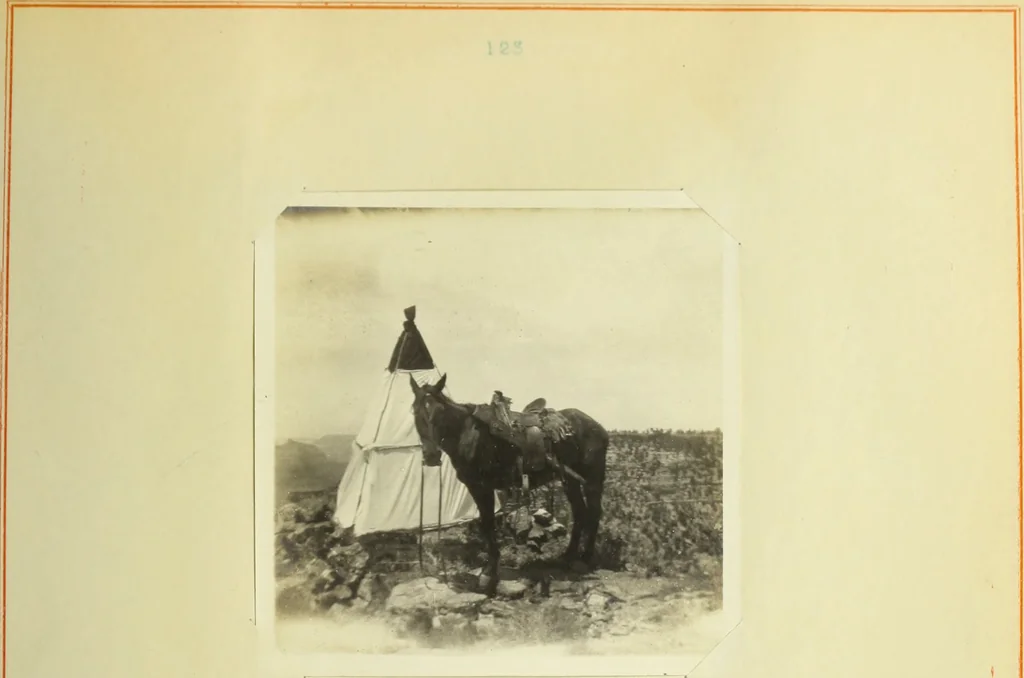 An illustration from The methods used in primary level and triangulation work in unsettled and broken country, 1909, leaf 254
