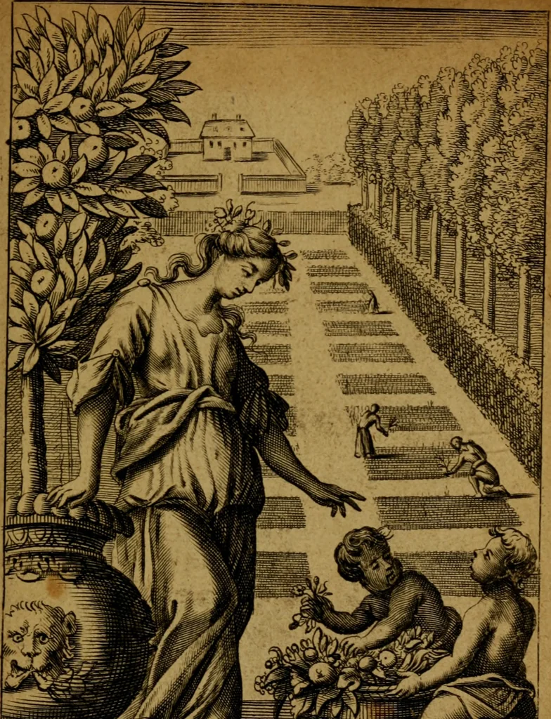 An illustration from Methodus plantarum nova : brevitatis & perspicuitatis causa synoptice in tabulis exhibita, cum notis generum tum summorum tum subalternorum characteristicis, observationibus nonnullis de seminibus plantarum & indice copioso, 1682, leaf 4