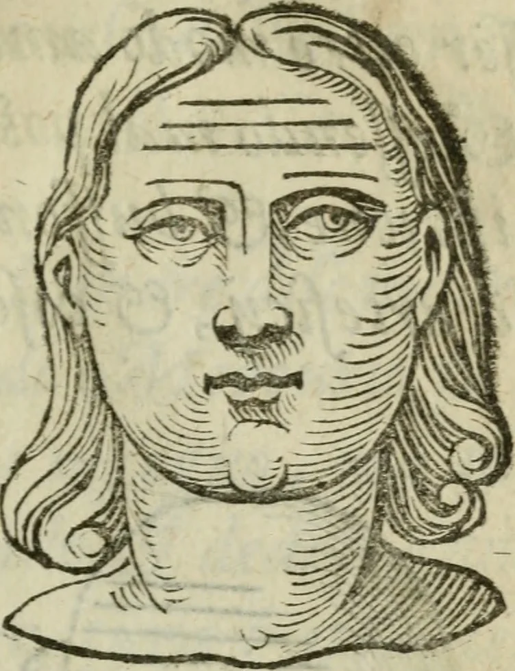 An illustration from La metoposcopia, ouero, Com[m]ensuratione delle linee della fronte : trattato, 1626, leaf 102
