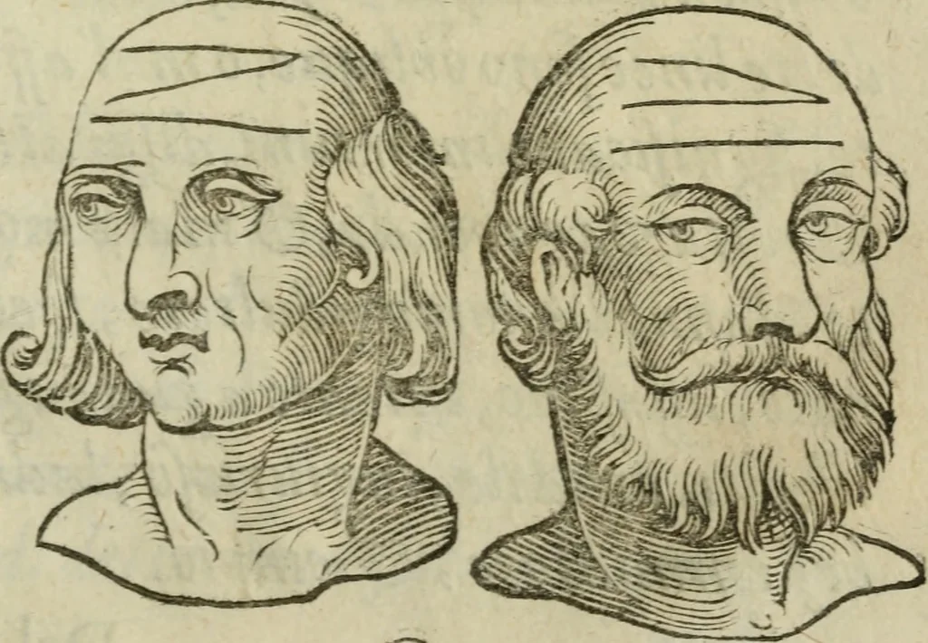 An illustration from La metoposcopia, ouero, Com[m]ensuratione delle linee della fronte : trattato, 1626, leaf 106