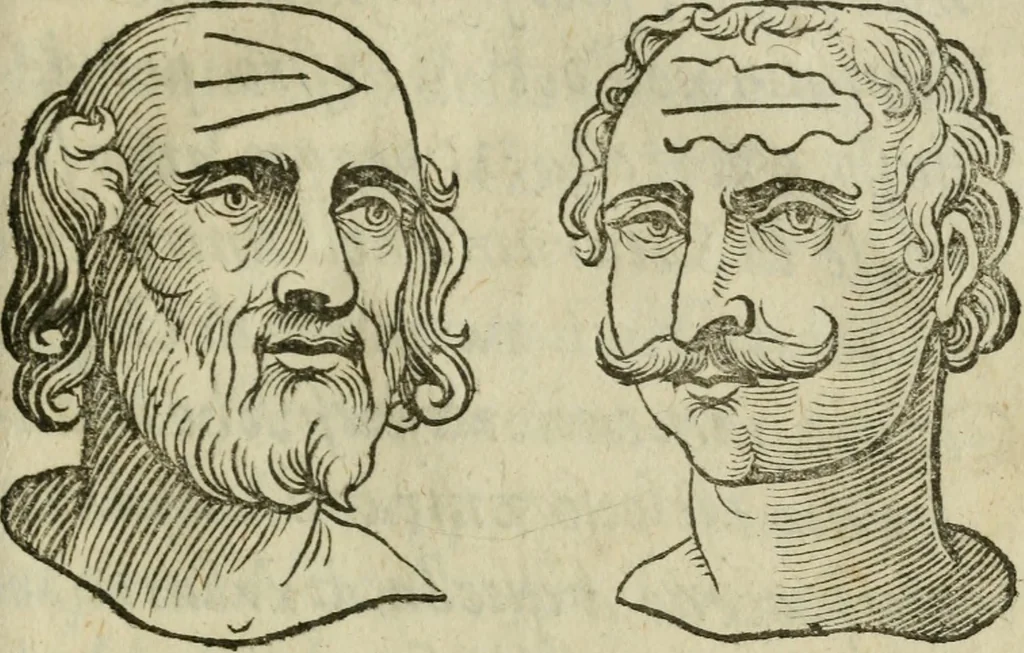 An illustration from La metoposcopia, ouero, Com[m]ensuratione delle linee della fronte : trattato, 1626, leaf 108