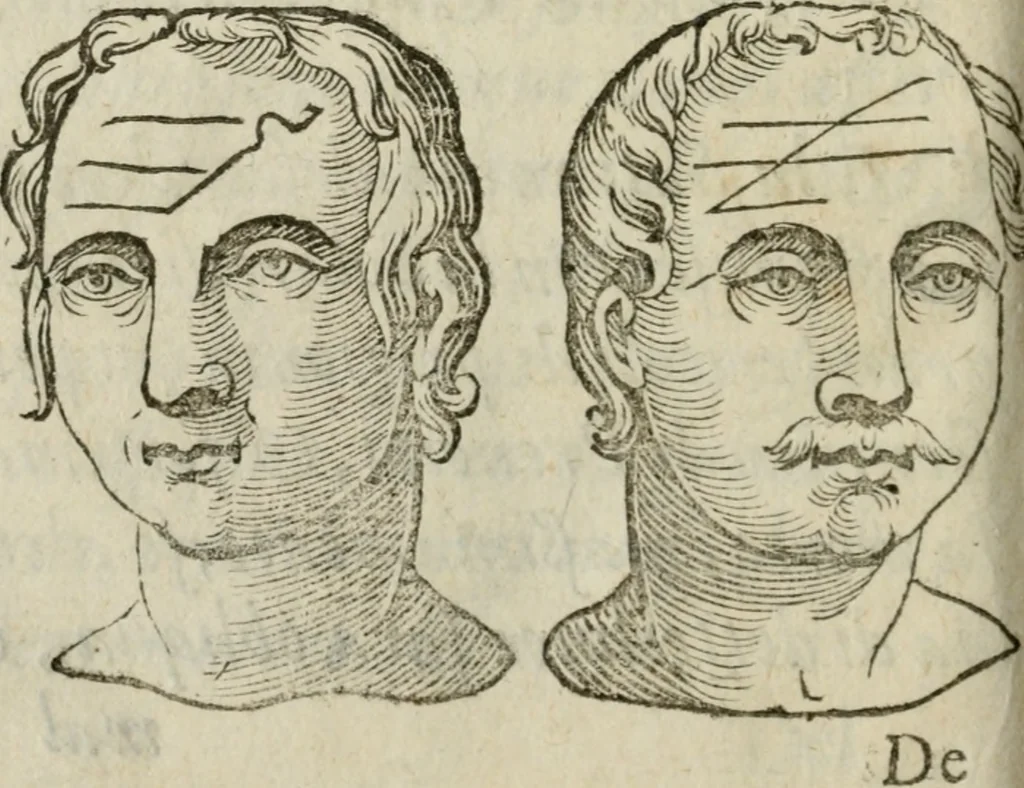 An illustration from La metoposcopia, ouero, Com[m]ensuratione delle linee della fronte : trattato, 1626, leaf 109