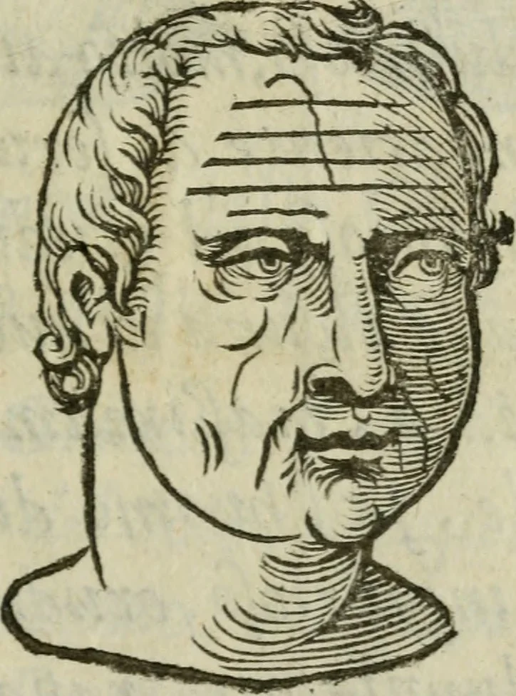 An illustration from La metoposcopia, ouero, Com[m]ensuratione delle linee della fronte : trattato, 1626, leaf 112