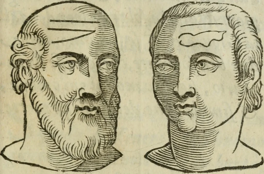 An illustration from La metoposcopia, ouero, Com[m]ensuratione delle linee della fronte : trattato, 1626, leaf 114