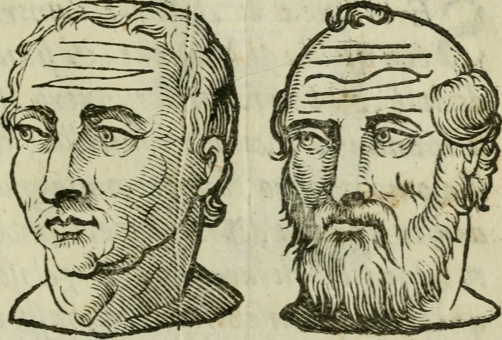 An illustration from La metoposcopia, ouero, Com[m]ensuratione delle linee della fronte : trattato, 1626, leaf 120