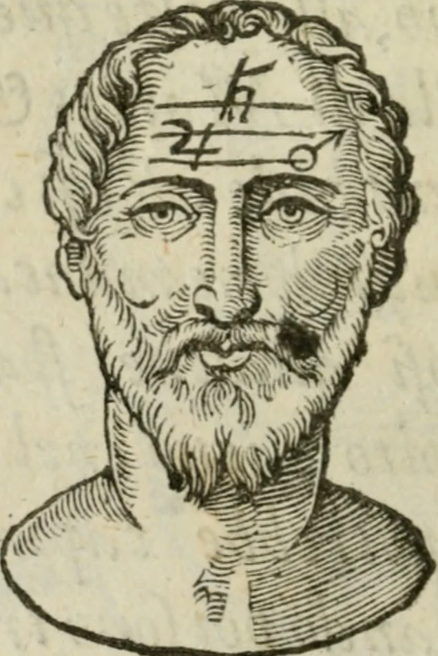 An illustration from La metoposcopia, ouero, Com[m]ensuratione delle linee della fronte : trattato, 1626, leaf 29