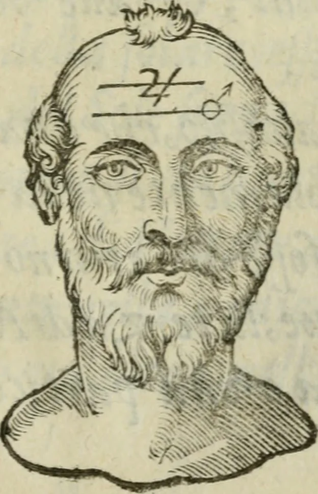 An illustration from La metoposcopia, ouero, Com[m]ensuratione delle linee della fronte : trattato, 1626, leaf 30