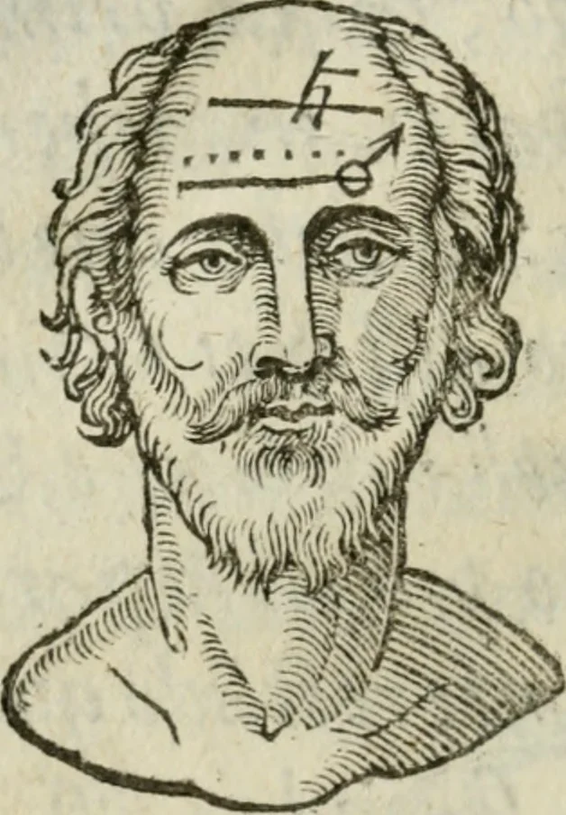 An illustration from La metoposcopia, ouero, Com[m]ensuratione delle linee della fronte : trattato, 1626, leaf 31