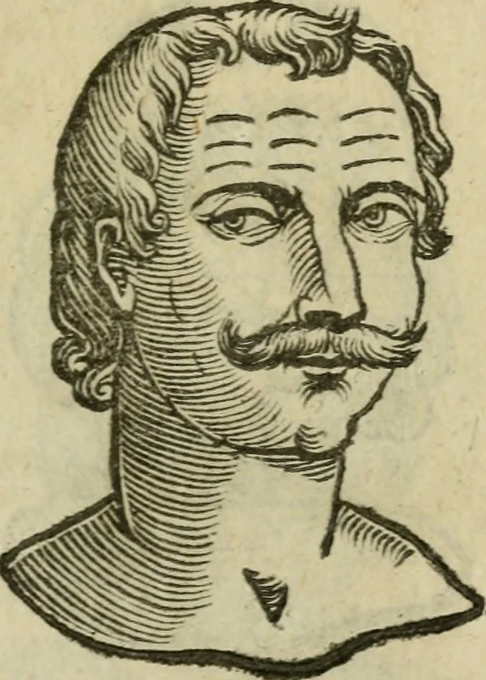An illustration from La metoposcopia, ouero, Com[m]ensuratione delle linee della fronte : trattato, 1626, leaf 46