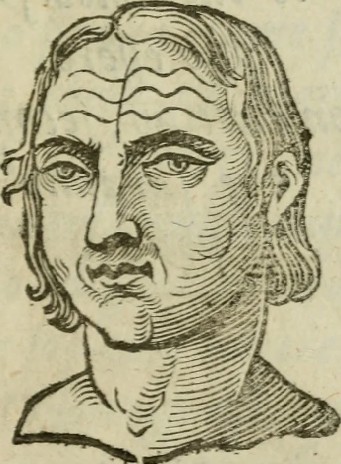 An illustration from La metoposcopia, ouero, Com[m]ensuratione delle linee della fronte : trattato, 1626, leaf 50