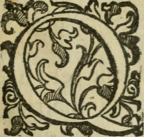 An illustration from La metoposcopia, ouero, Com[m]ensuratione delle linee della fronte : trattato, 1626, leaf 6