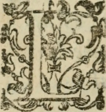 An illustration from La metoposcopia, ouero, Com[m]ensuratione delle linee della fronte : trattato, 1626, leaf 67