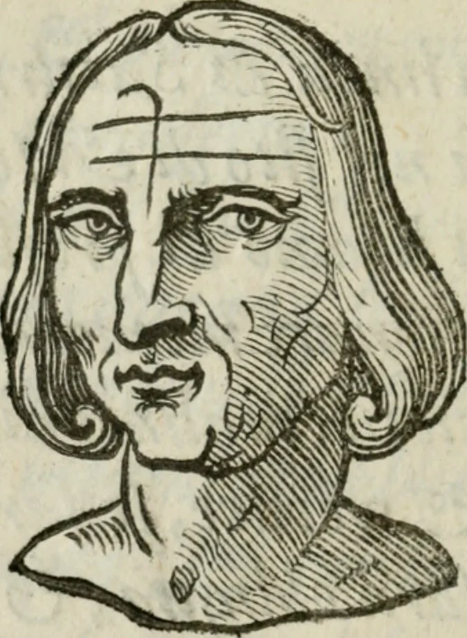 An illustration from La metoposcopia, ouero, Com[m]ensuratione delle linee della fronte : trattato, 1626, leaf 97