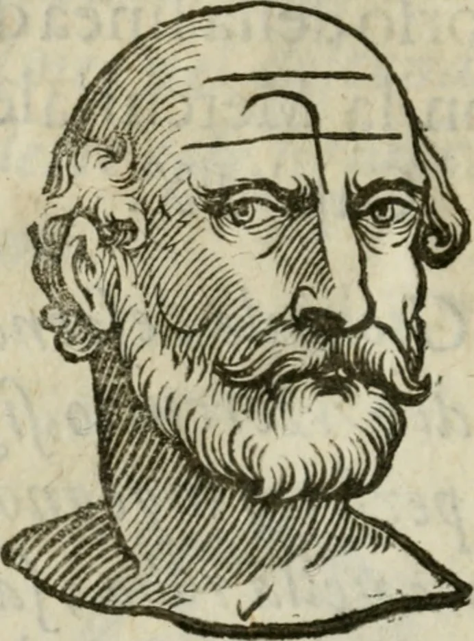 An illustration from La metoposcopia, ouero, Com[m]ensuratione delle linee della fronte : trattato, 1626, leaf 99