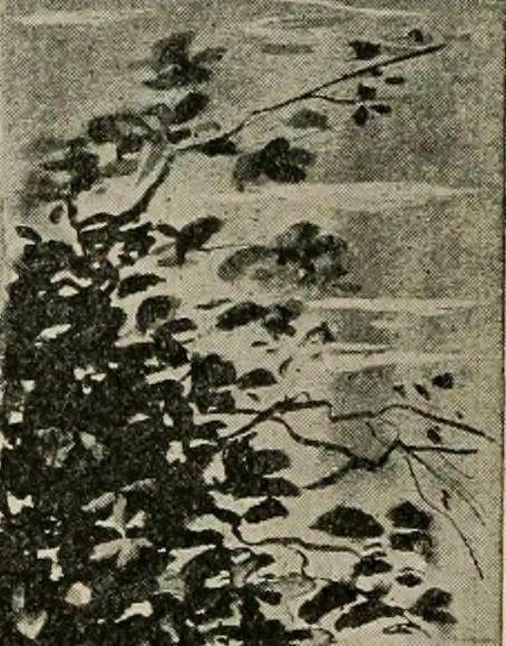 An illustration from Metsu, 1906, leaf 5