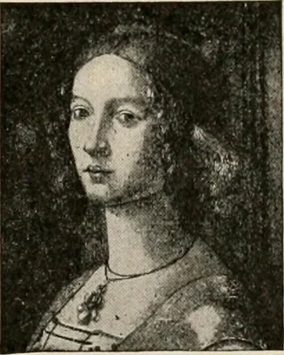 An illustration from Metsu, 1906, leaf 50