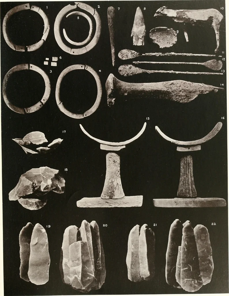 An illustration from Meydum and Memphis (III), 1910, leaf 102