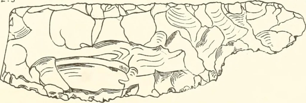 An illustration from Meydum and Memphis (III), 1910, leaf 116