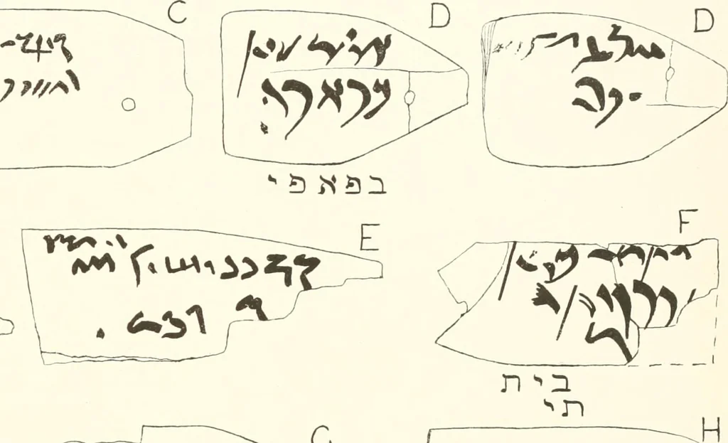 An illustration from Meydum and Memphis (III), 1910, leaf 128