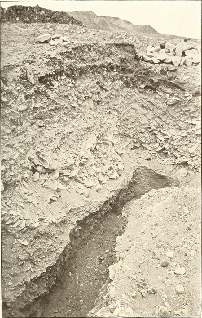 An illustration from Meydum and Memphis (III), 1910, leaf 62