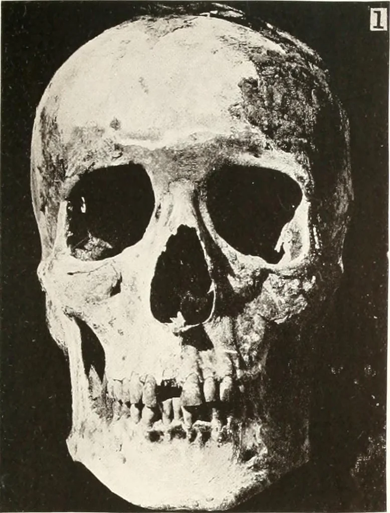 An illustration from Meydum and Memphis (III), 1910, leaf 82